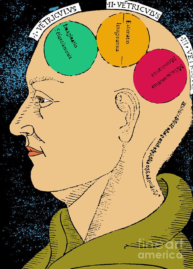 Brain Functions Albertus Magnus Woodcut #2 Photograph by Science Source