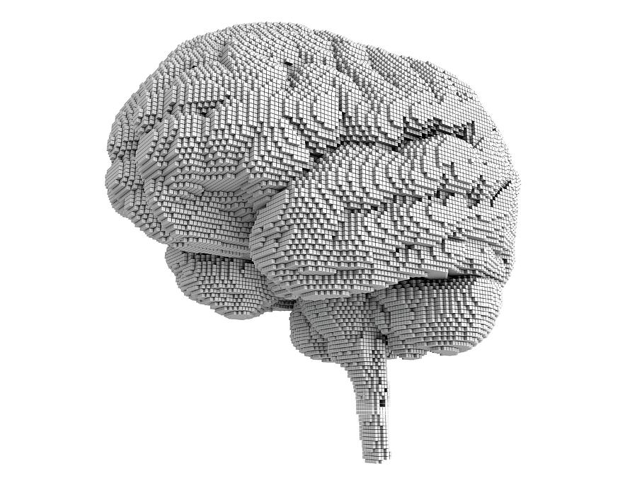 Brain Pixelated #1 Photograph by Alfred Pasieka/science Photo Library