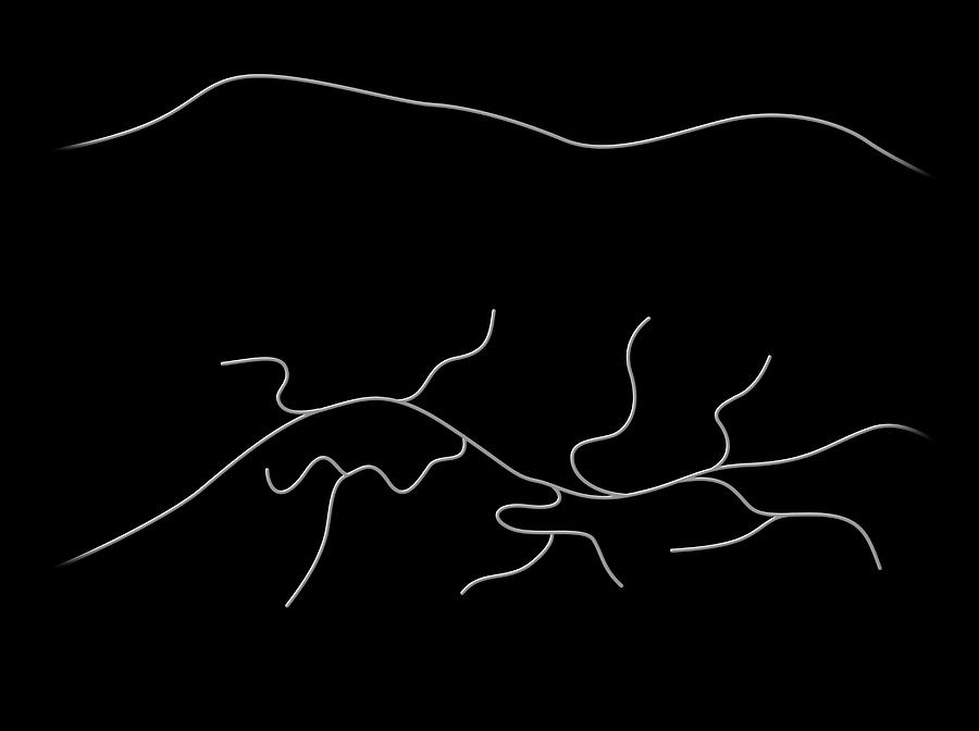Nobody Photograph - Branched And Linear Polyethylene 1 by Mikkel Juul Jensen Nobody Photograph - Branched And Linear Polyethylene 1 by Mikkel Juul Jensen
