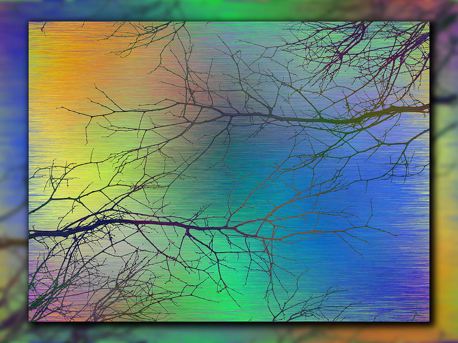Branches In The Mist 88 #1 Digital Art by Tim Allen