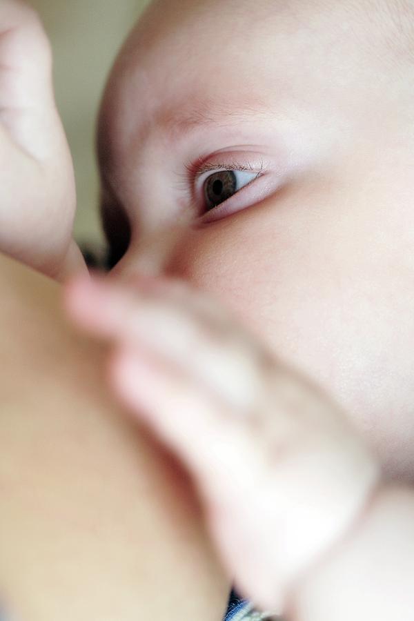 Breast-feeding #1 Photograph by Mauro Fermariello/science Photo Library