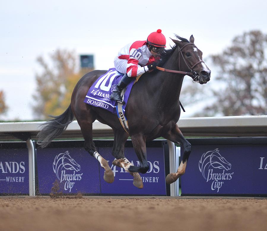 Breeders Cup - Day 2 #1 Photograph by Horsephotos