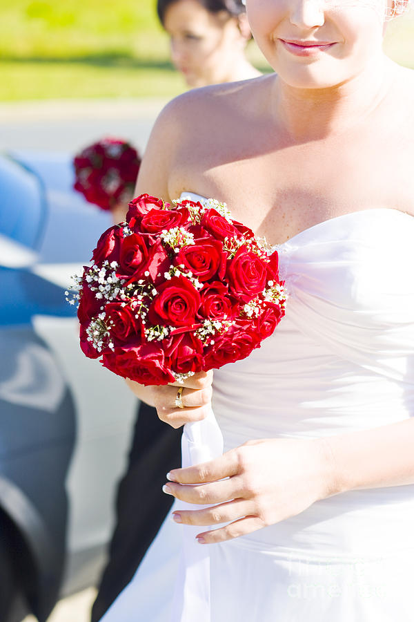 Bride Holding Red Rose Flower Bunch Photograph by Jorgo Photography