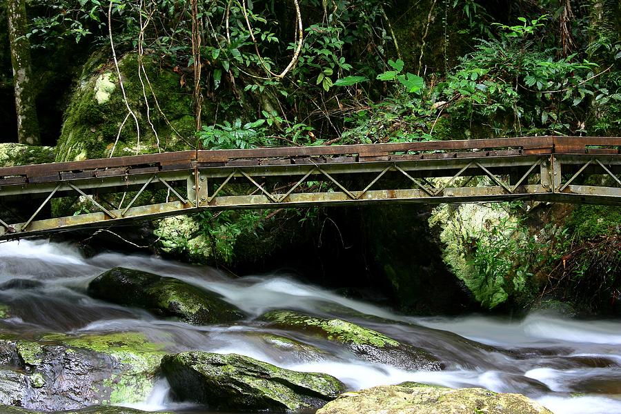 Bridge Over Mountain Stream Photograph