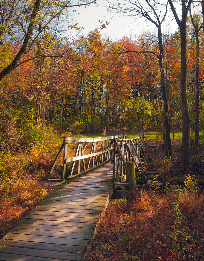 Bridge to Fall Photograph by David Lamb - Fine Art America