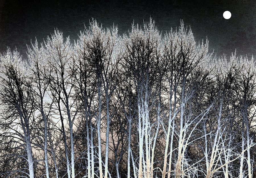 Bright Winter Moon #1 Digital Art by Will Borden