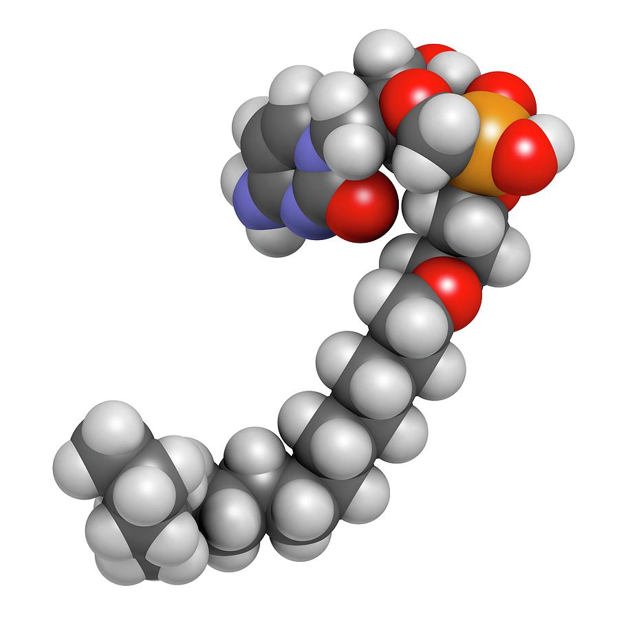 Brincidofovir Antiviral Drug Molecule #1 Photograph by Molekuul