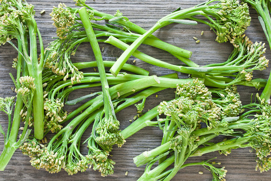 Broccoli Photograph - Broccoli stems #1 by Tom Gowanlock