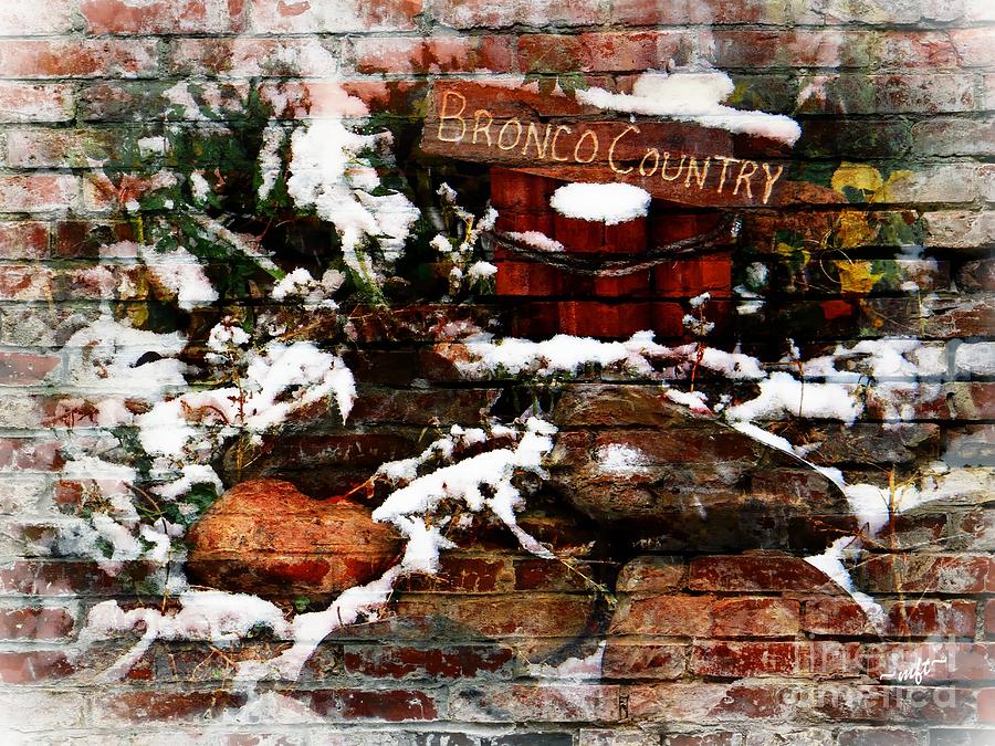 Bronco Country #1 Photograph by Michelle Frizzell-Thompson