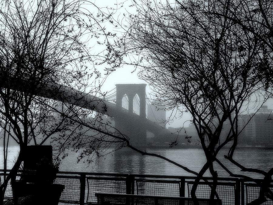 Brooklyn Tower Photograph