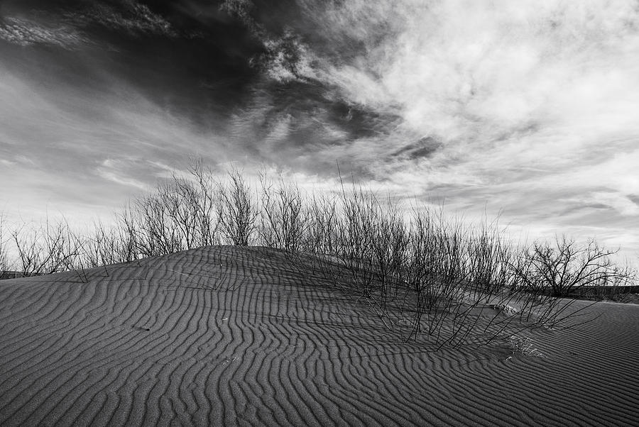 Bruneau Dunes State Park Idaho #1 Photograph by Vishwanath Bhat