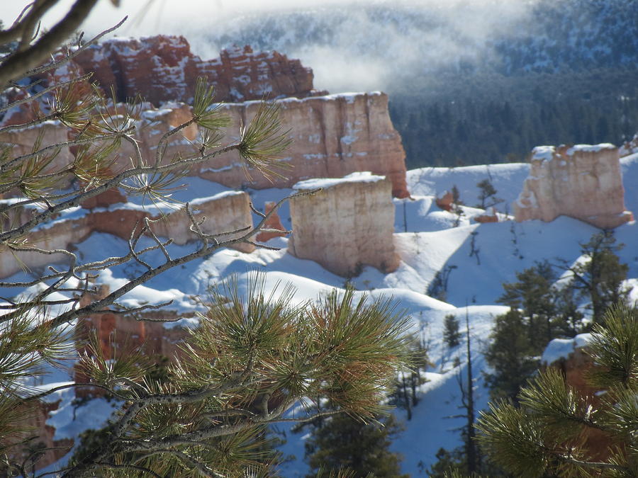 Winter Photograph - Bryce #1 by Bhanu Mohan