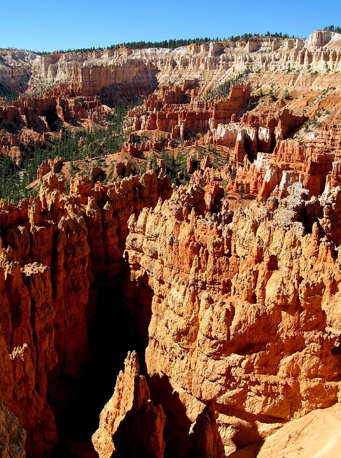 Bryce Canyon 148 #2 Photograph by Maria Huntley