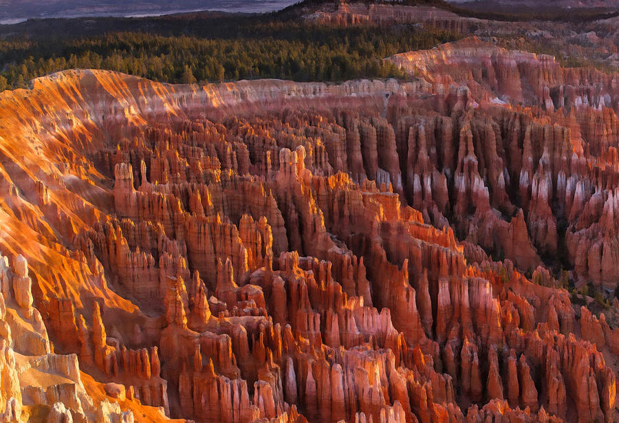 Grand Canyon National Park Photograph - Bryce Canyon 29 by Ingrid Smith-Johnsen