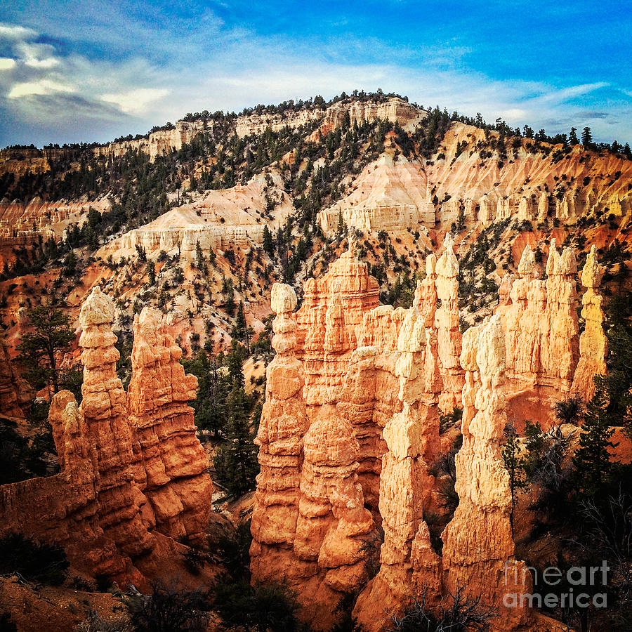 Bryce Canyon #1 Photograph by Colin and Linda McKie