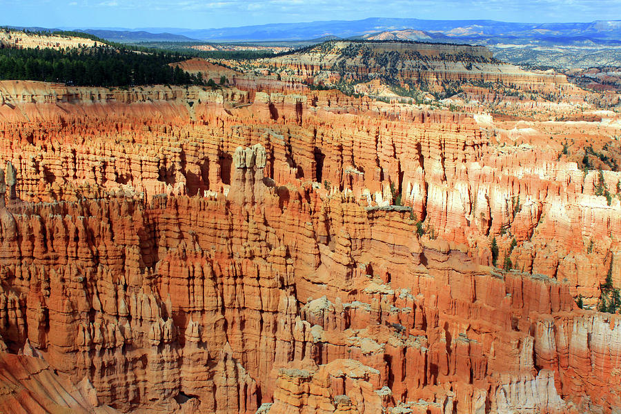 Bryce Canyon #1 Photograph by Ludobros