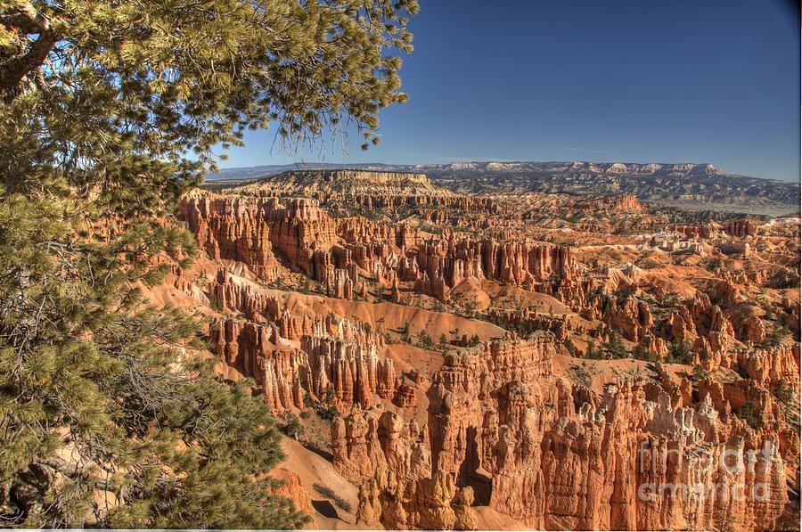 Bryce Canyon #1 Photograph by Marc Bittan