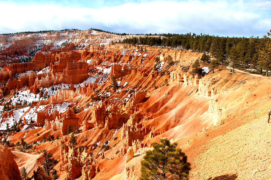 Bryce Canyon #6 Photograph by Marti Green