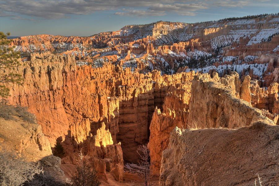 Bryce Canyon National Park #1 Photograph by Greg Ochocki Bryce Canyon National Park #1 Photograph by Greg Ochocki