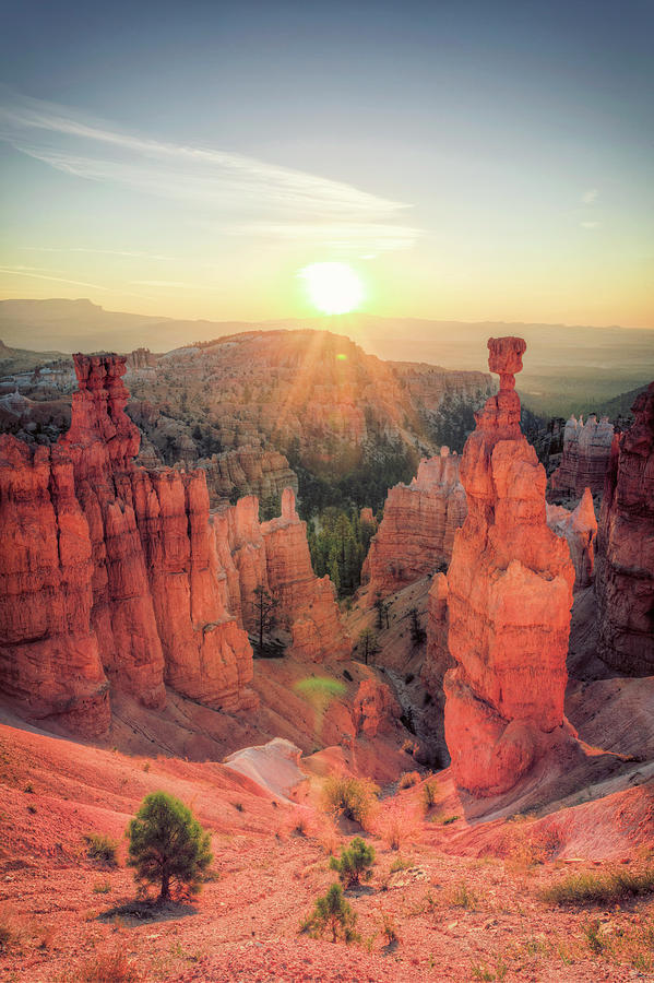 Bryce Canyon National Park #1 Photograph by Michele Falzone