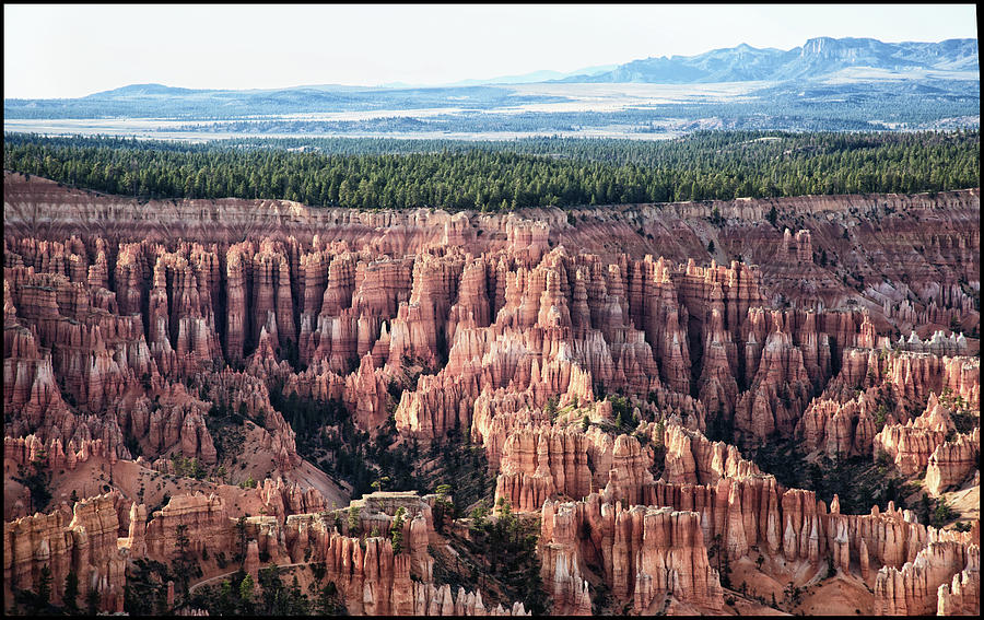 Bryce Canyon National Park #1 Photograph by S. Goerner