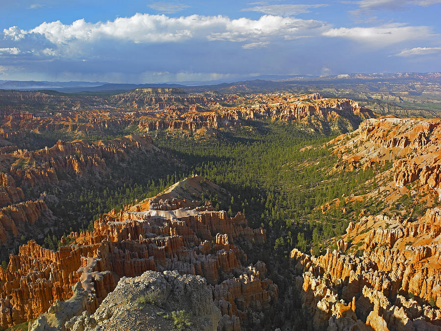 Bryce Canyon Np From Bryce Point Utah #1 Photograph by Tim Fitzharris