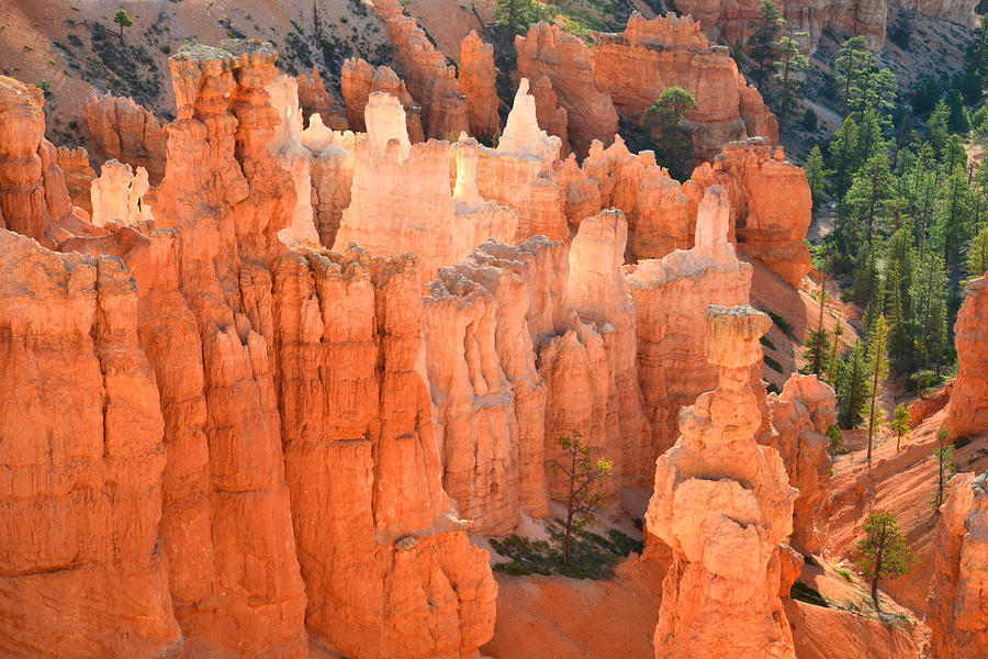 Bryce Canyon #10 Photograph by Ray Mathis