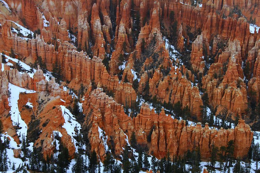 Bryce Canyon Series Nbr 35 #1 Photograph by Scott Cameron