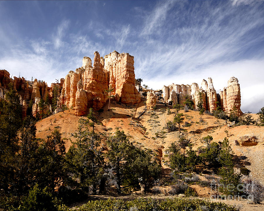Gallery Photograph - Bryce Canyon State Park #1 by Richard Smukler