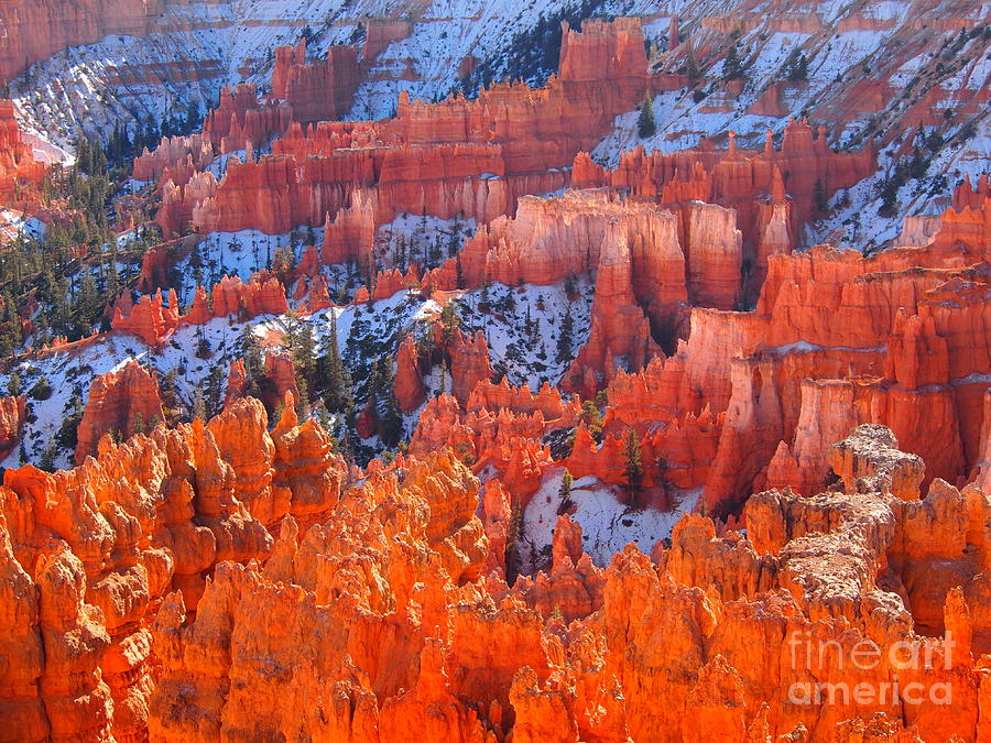 Bryce canyon Utah #3 Photograph by Jennifer Craft