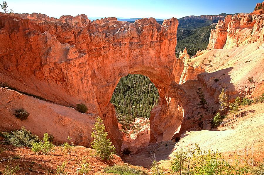 Bryce Pink Arch #1 Photograph by Adam Jewell