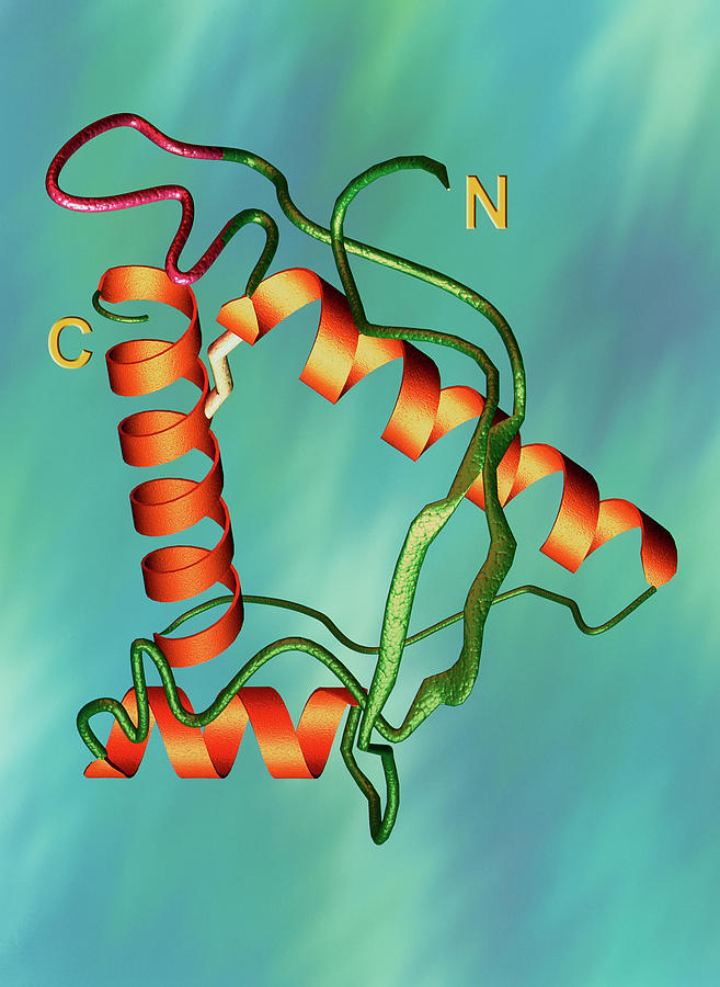 Bse Causing Prion 1 Photograph By Alfred Pasiekascience Photo Library