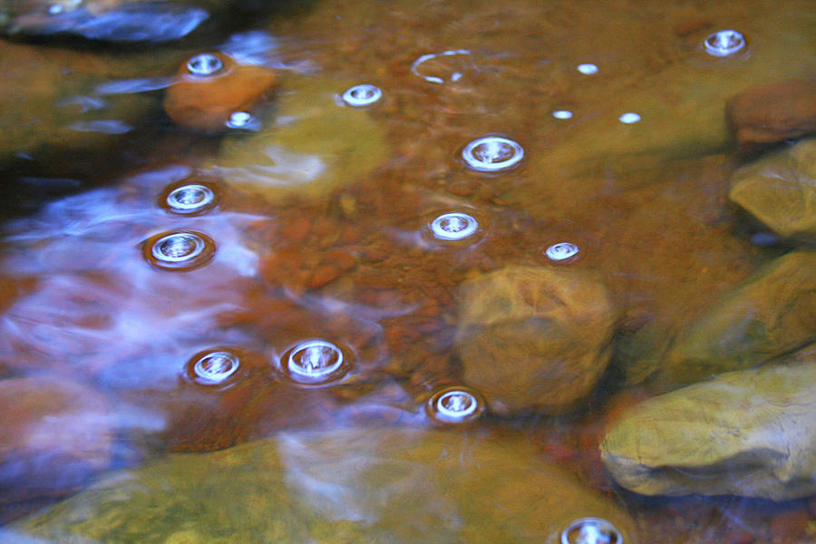 Bubbles Floating 1 #1 Photograph by James Knight