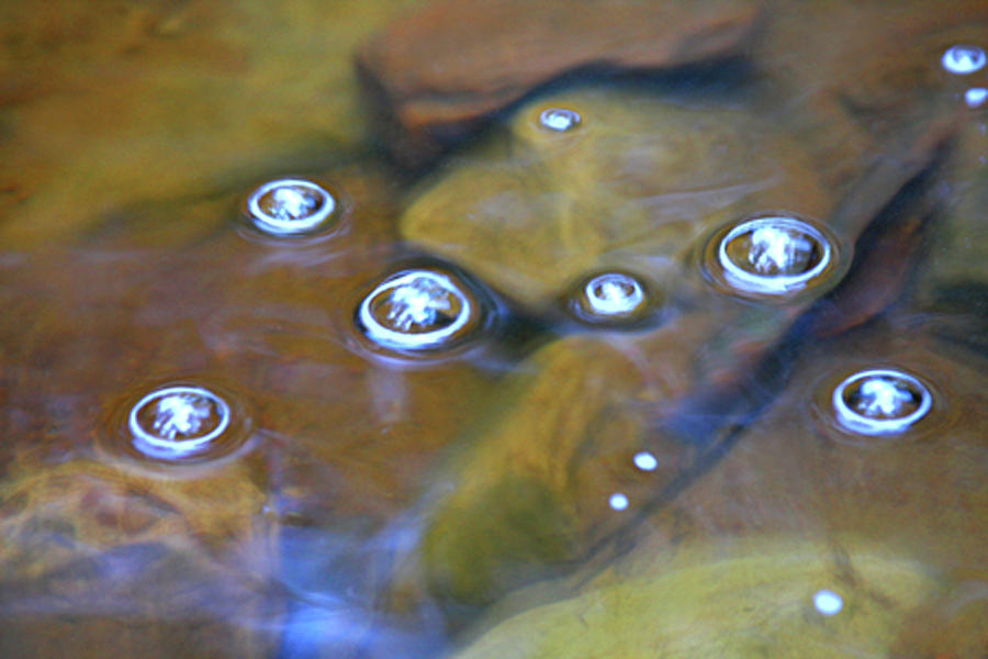 Bubbles Floating 3 #1 Photograph by James Knight