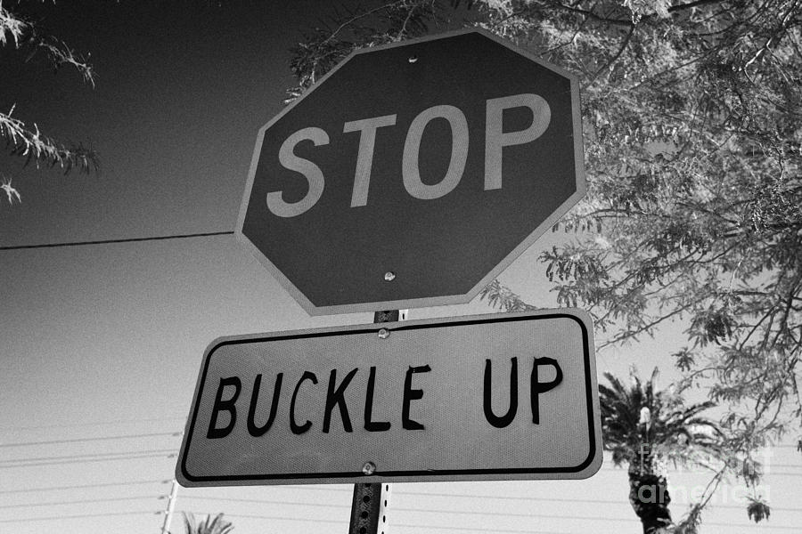 Sign Photograph - buckle up sign below stop sign in Las Vegas Nevada USA #1 by Joe Fox