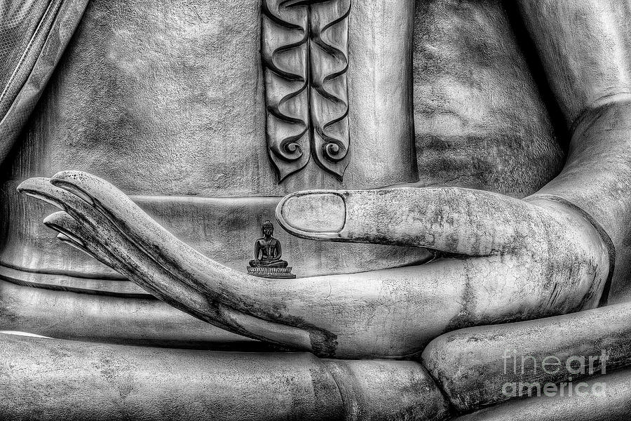 Buddha Photograph - Buddha Hand #3 by Adrian Evans