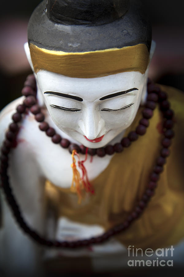 Buddha #1 Photograph by Maria Heyens