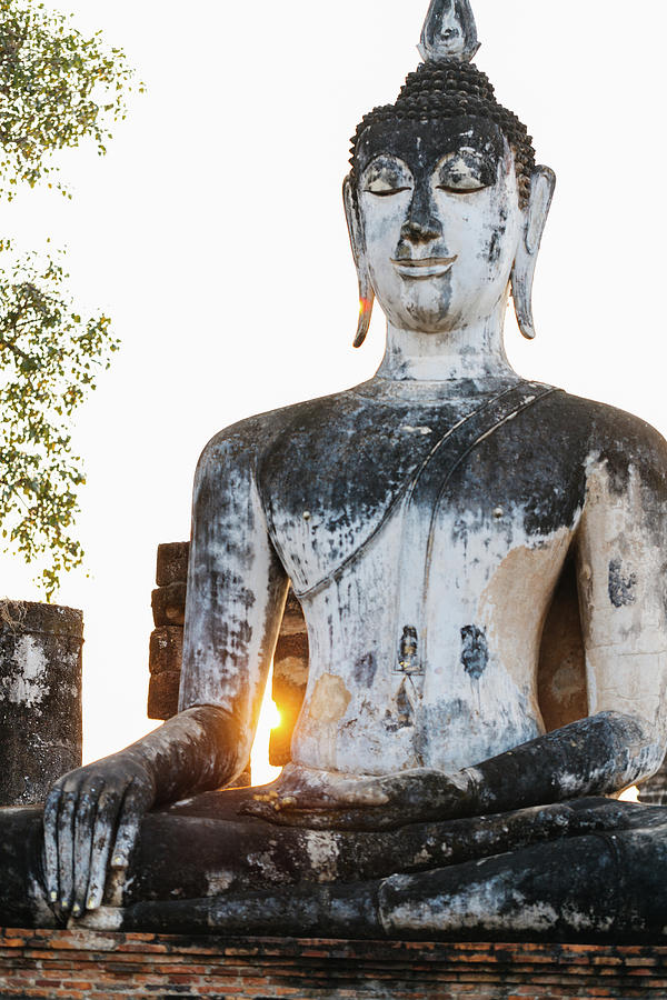 Buddha Statue In Sukhothai, Thailand #1 Photograph by Deimagine
