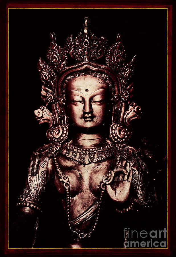 Buddhist Tara Deity Photograph by Tim Gainey