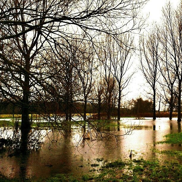 Jj Photograph - Bude Park Under Water Lol!! #1 by Chris Drake