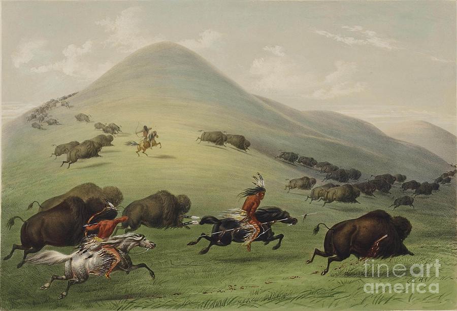 George Catlin Painting - Buffalo hunt #1 by Celestial Images