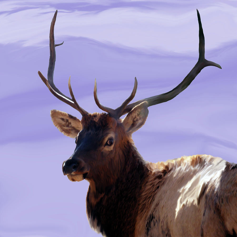 Animal Painting - Bull Elk Freehand #1 by Ernest Echols