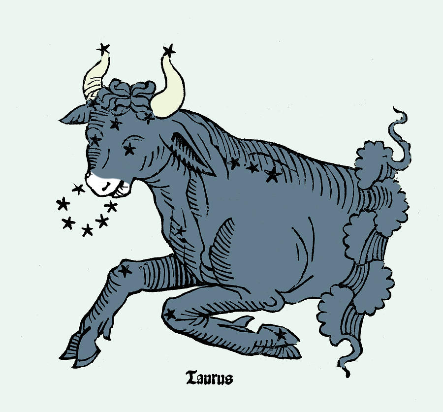 Bull, Taurus Constellation #1 Photograph by Science Source
