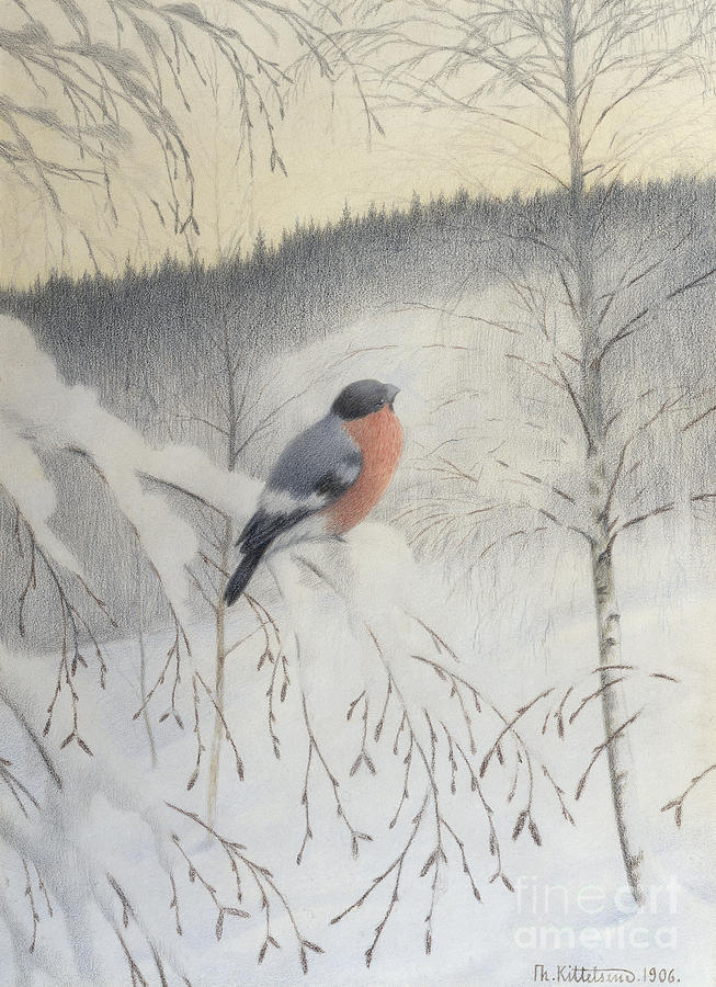 Bullfinch on frosty twig Painting by Theodor Kittelsen