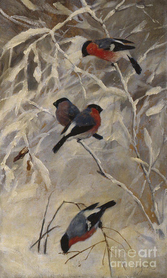 Bullfinches #2 Painting by Anders Kongsrud