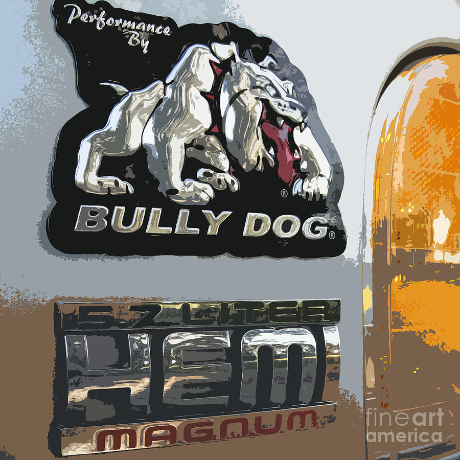 Bully Dog #1 Photograph by Patricia Januszkiewicz