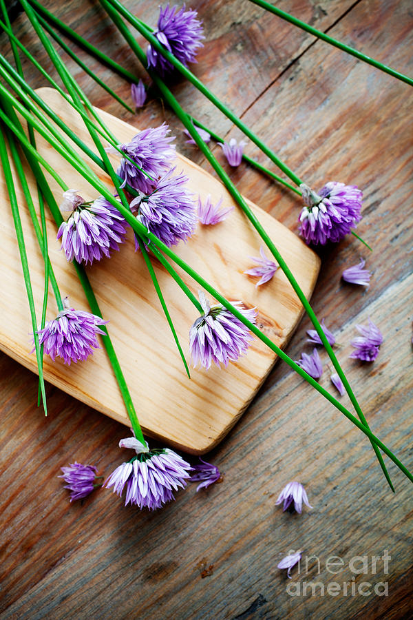 Bunch of fresh chives on table #1 Photograph by Kati Finell