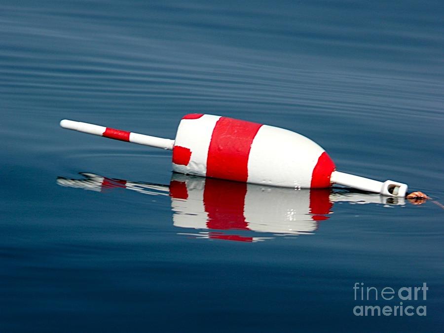 Buoy Photograph - Buoy by Christine Stack Buoy Photograph - Buoy by Christine Stack