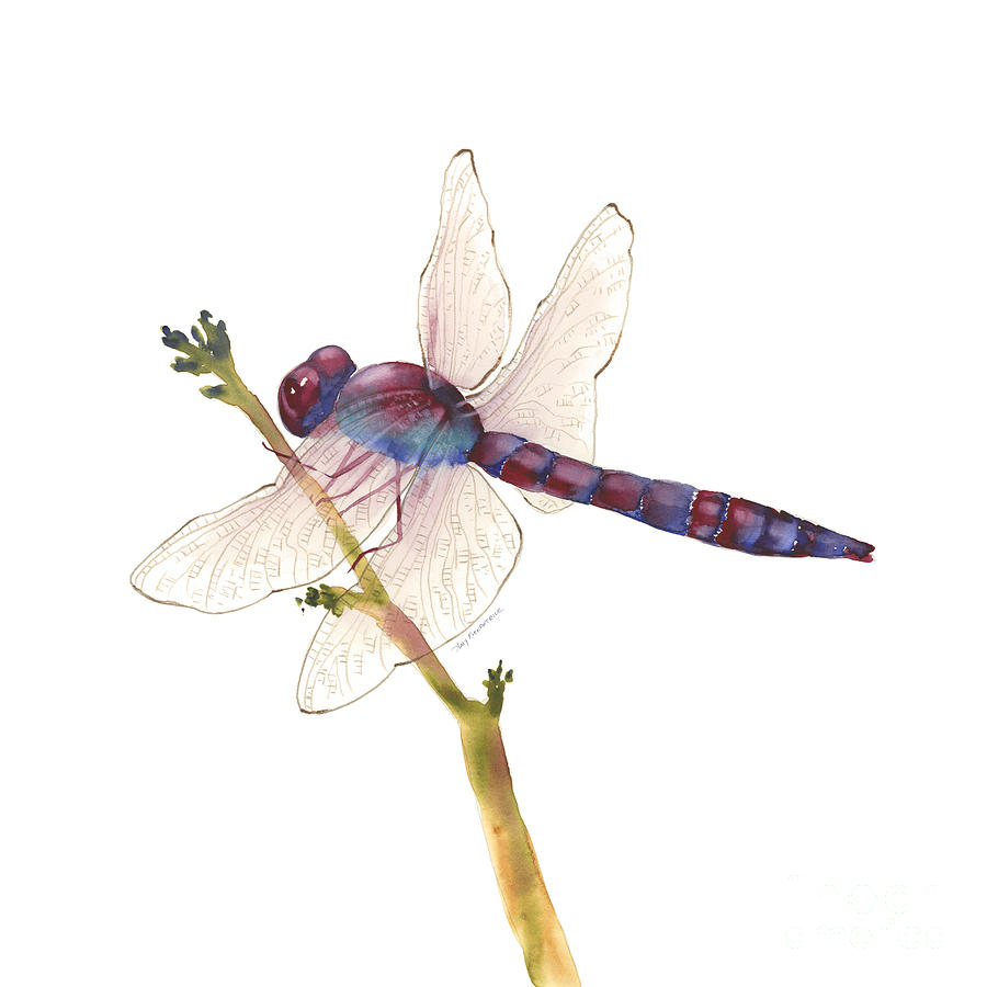 Burgundy Dragonfly Painting