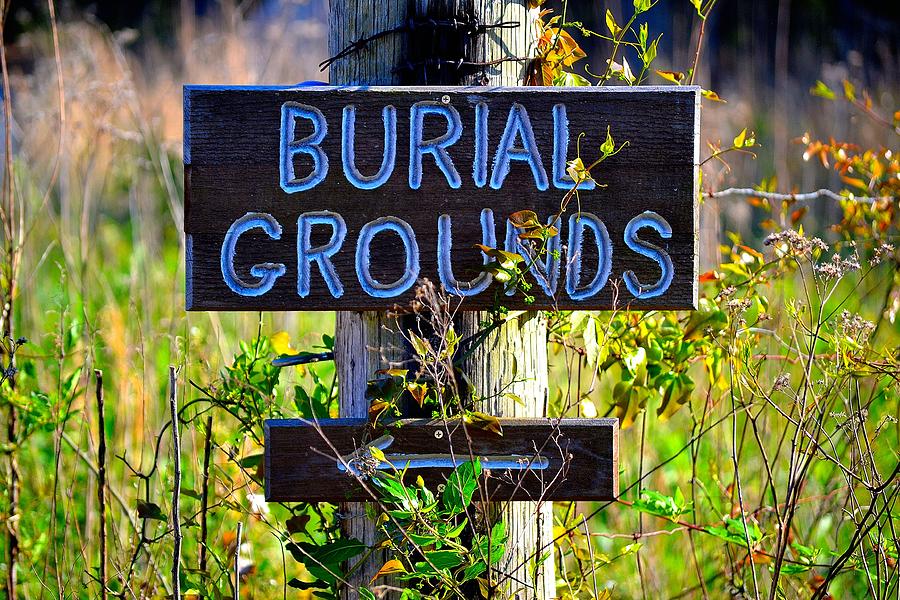 Burial Grounds #1 Photograph by Tara Potts